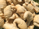 Medialunas saladas