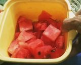 A picture of step 1 of Khata Meetha Water melon kulfi.