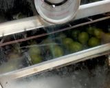 Foto langkah ke 5 dari resep Nastar Green Tea.