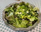 Une image de l'étape 6 de Salade Feuille de Chêne aux Oignons Nouveaux et Persil Plat.