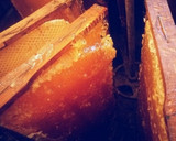 Foto del paso 3 de la receta: Caramelos de miel y limón