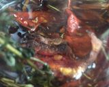A picture of step 3 of Sun dried tomato.
