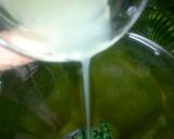 A picture of step 1 of Mint margrita.