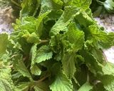 Une image de l'étape 6 de Sauce 🥣au yaourt grec 🍶fraîcheur d’été 🌱🌿☘️🍃.