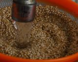 Foto del paso 1 de la receta: Volcán de Quinoa