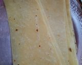 A picture of step 5 of Wonton.
