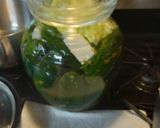 A picture of step 6 of Homemade Fermented Pickles with Saffron 2023.
