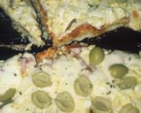 Foto del paso 5 de la receta: Pizza casera🍕