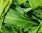 Spinach Cream Soup recipe step 1 photo