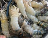 รูปขั้นตอนการทำที่ 1 ของ “กุ้งก้ามกรามทอดเกลือ” 🦐🦐🦐