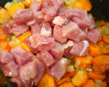 Foto del paso 3 de la receta: Magro de cerdo al curry con zanahorias