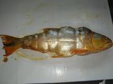 Dorado relleno a la parrilla