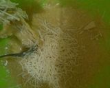 Foto langkah ke 5 dari resep Bluder Cake No Mixer.