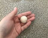 Foto del paso 16 de la receta: Gyoza ~Empanaditas Estilo Japonés~