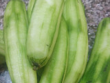 तोरी झटपट (Tori jhatpat recipe in hindi)
