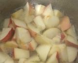 Foto del paso 1 de la receta: Mermelada de manzana