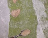 Foto del paso 4 de la receta: Raviolones de pollo