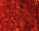 Foto del paso 3 de la receta: Gelatina encapsulada de frutos rojos fácil 😍