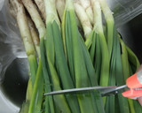 Foto del paso 3 de la receta: Calçots y salsa