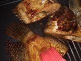 Gurame bakar teflon