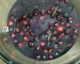 A picture of step 2 of Falsa juice.