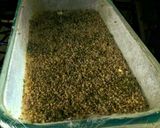 Foto del paso 1 de la receta: PAN Estilo Lactal relleno de Semillas de Sésamo y orégano...!