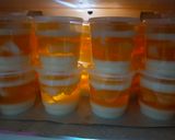 Foto langkah ke 4 dari resep Puding Lapis Lychee Jeruk.