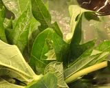 Foto langkah ke 2 dari resep Tumis Daun Pepaya.