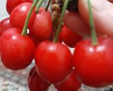 صورة لخطوة 3 من وصفة فواكه الصيف