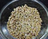 Paneer Sprout Salad recipe step 2 photo