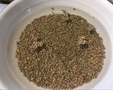 Foto del paso 1 de la receta: Lentejas de dieta DMA #F1