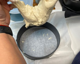 Foto del paso 3 de la receta: Focaccia della mia amica Giuliana 🇮🇹