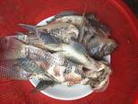 Canh rau ngót (rau cải mào gà hoặc cải đông dư non) nấu cá rô phi bước làm 2 hình