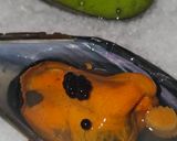 Foto del paso 5 de la receta: Mejillones gelatinados con espuma de perejil