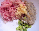 Foto langkah ke 1 dari resep Pangsit Kuah rumahan simple,enak dan segar+ foto step by step ^_^.