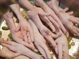 Chicken feet