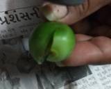 Gunda-Keri Aachar (Glue Berry And Mango Pickle) recipe step 1 photo