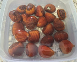 Foto del paso 2 de la receta: Castañas hervidas con uvas