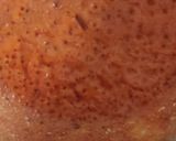 કાંદા ની ચટણી (Onion Chutney Recipe In Gujarati) રેસીપી સ્ટેપ4ફોટો
