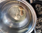 Foto del paso 1 de la receta: Chipirones en su tinta con arroz