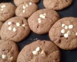 ક્રેનબેરી વ્હાઇટ ચોકો ચિપ્સ કુકીઝ (Cranberry White Choco Chips Cookies Recipe In Gujarati) રેસીપી સ્ટેપ2ફોટો