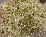 Une image de l'étape 12 de Tournedos de canard, sauce framboise.