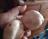 Foto del paso 1 de la receta: Champis veganos rellenos (🌱)