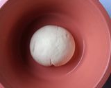 Foto del paso 8 de la receta: Pan rústico natural (Baguette)