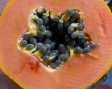 Foto del paso 1 de la receta: Jugo de papaya, arándanos, menta, naranja y Limón