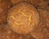 Foto del paso 6 de la receta: Galletas de sémola