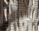 Foto del paso 2 de la receta: Boquerones Crujientes al Horno