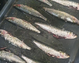 Foto del paso 1 de la receta: Sardinas al horno con ajo y perejil