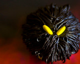 Foto del paso 3 de la receta: Cupcakes de monstruos negros para Halloween