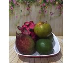 Foto langkah ke 1 dari resep Diet Juice Avocado Dragon Fruit Orange.